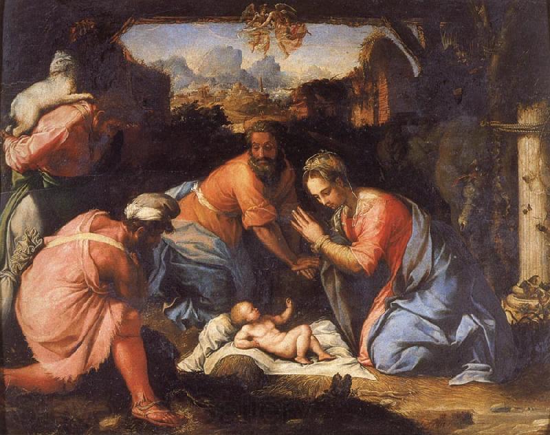 Francesco Salviati The Adoration of the Shepherds Norge oil painting art